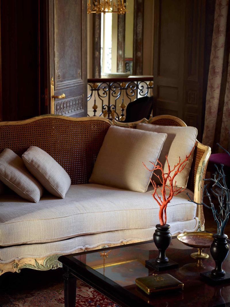 Salon de château avec canapé et table basse